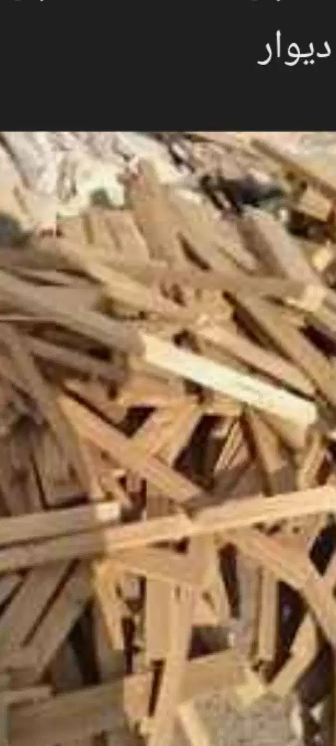 خریدار ضایعات انواع چوب  شاخه  درختی  پالت|خدمات باغبانی و درختکاری|قدس, شهر‌قدس|دیوار