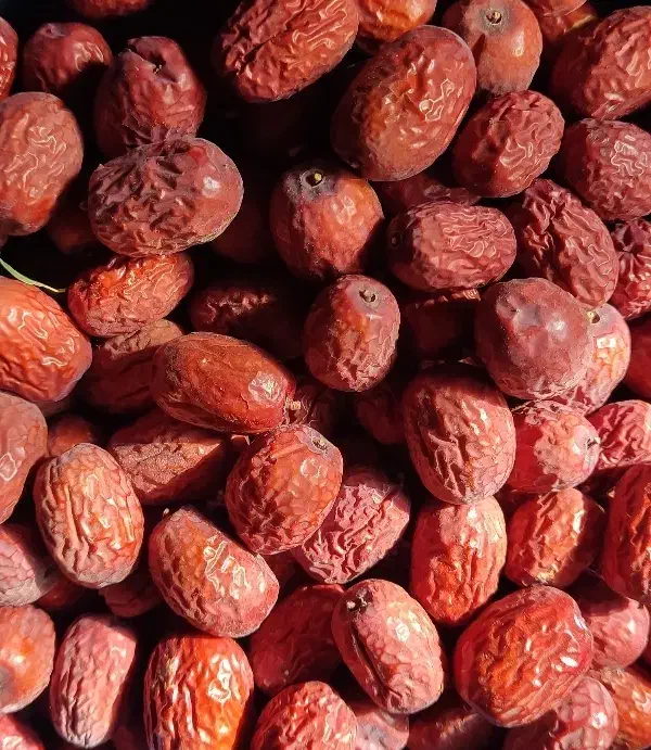 عناب تازه درجه یک|خوردنی و آشامیدنی|فولادشهر, B2|دیوار