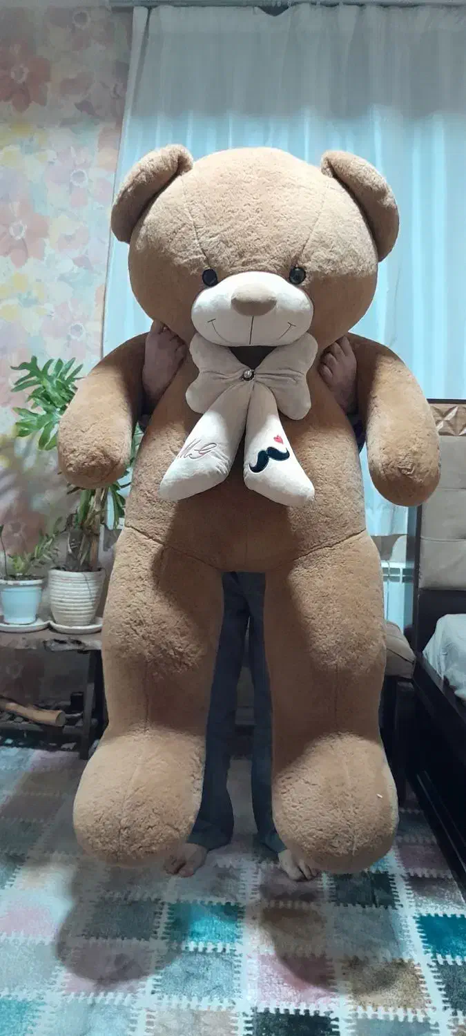 عروسک خرس قهوه ای|اسباب‌‌بازی|ری, علایین|دیوار