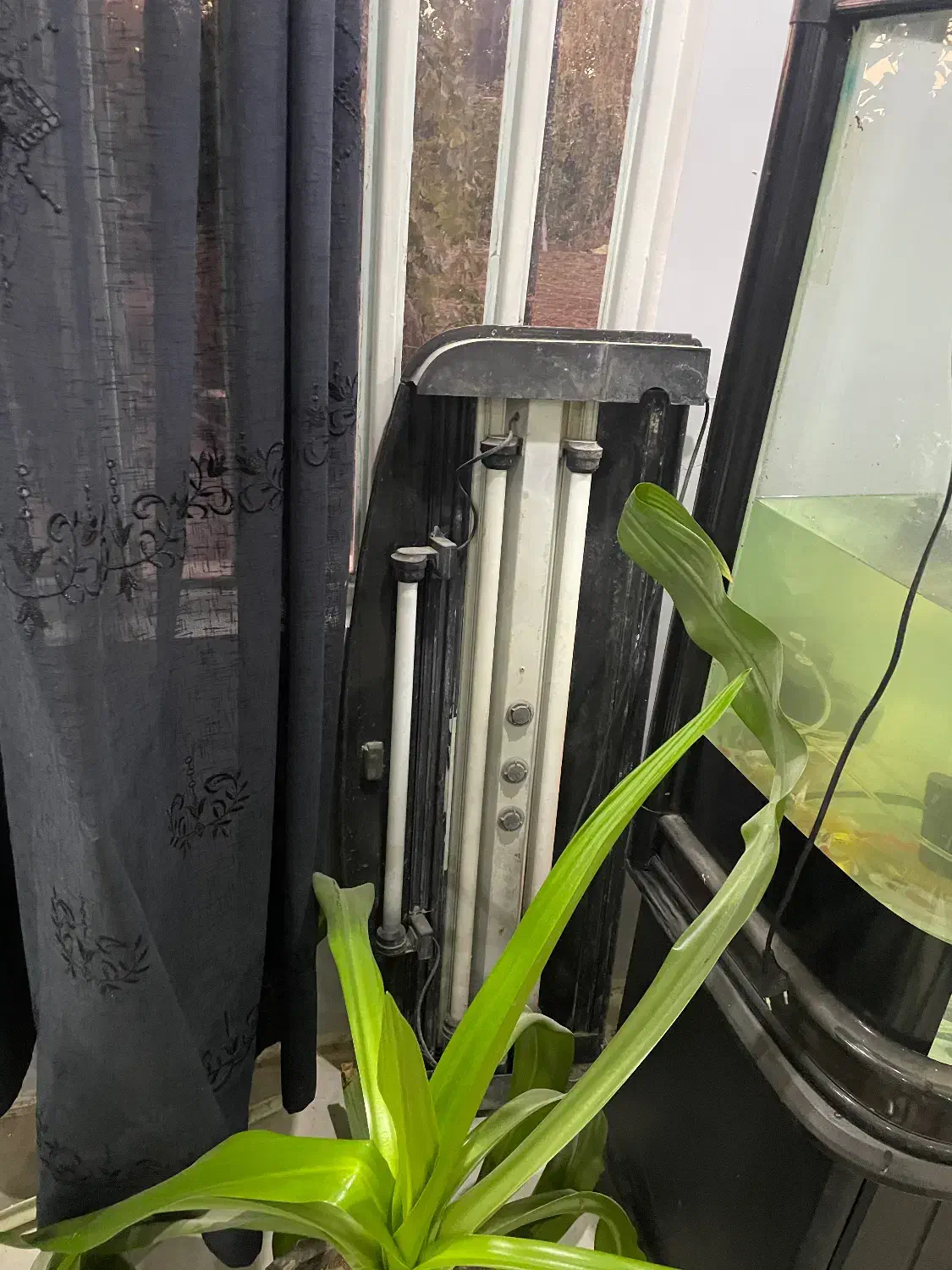 اکواریوم شیشه خم|ماهی|اصفهان, دنارت|دیوار