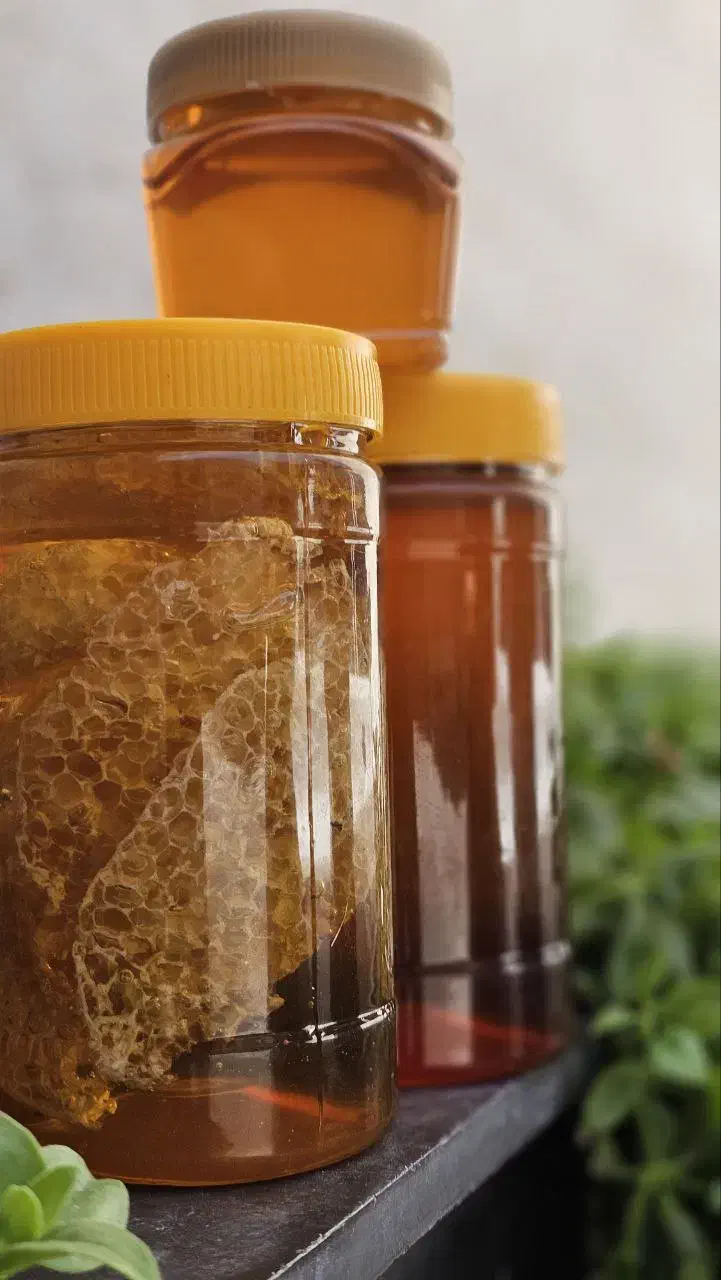 عسل کوهی با ساکاراز زیر( 3درصد)|خوردنی و آشامیدنی|رشت, شهرک صنعتی|دیوار