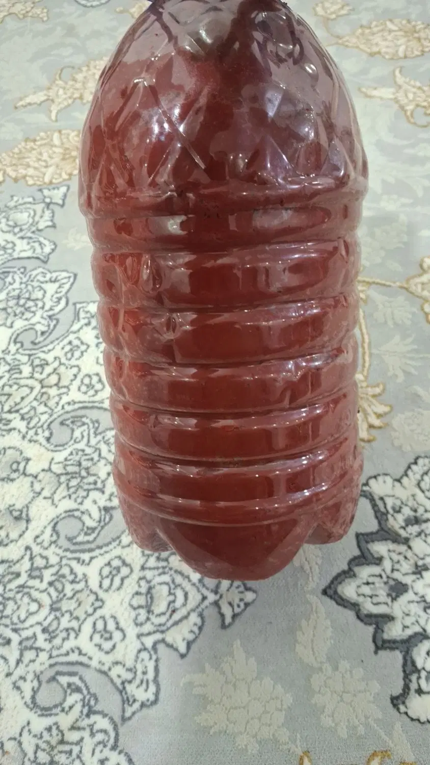 رب گوجه|خوردنی و آشامیدنی|علی‌آباد کتول, |دیوار