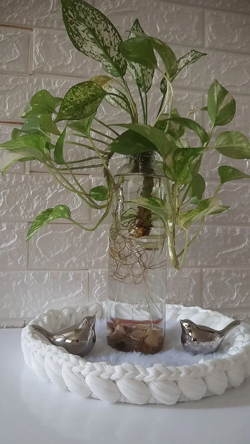 بافت انواع سبدایه تریکو|صنایع دستی و سایر لوازم تزئینی|مینودشت, |دیوار