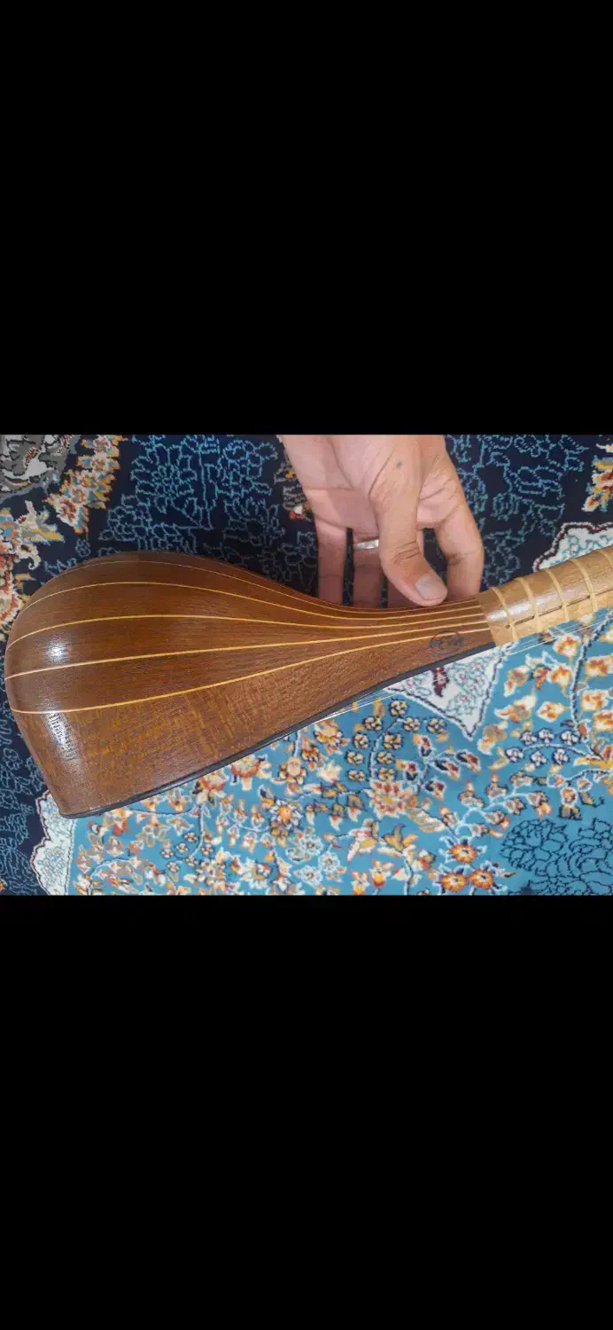 سه تار حرفه ای برند استاد نوید|سازهای سنتی|شهر بابک, |دیوار