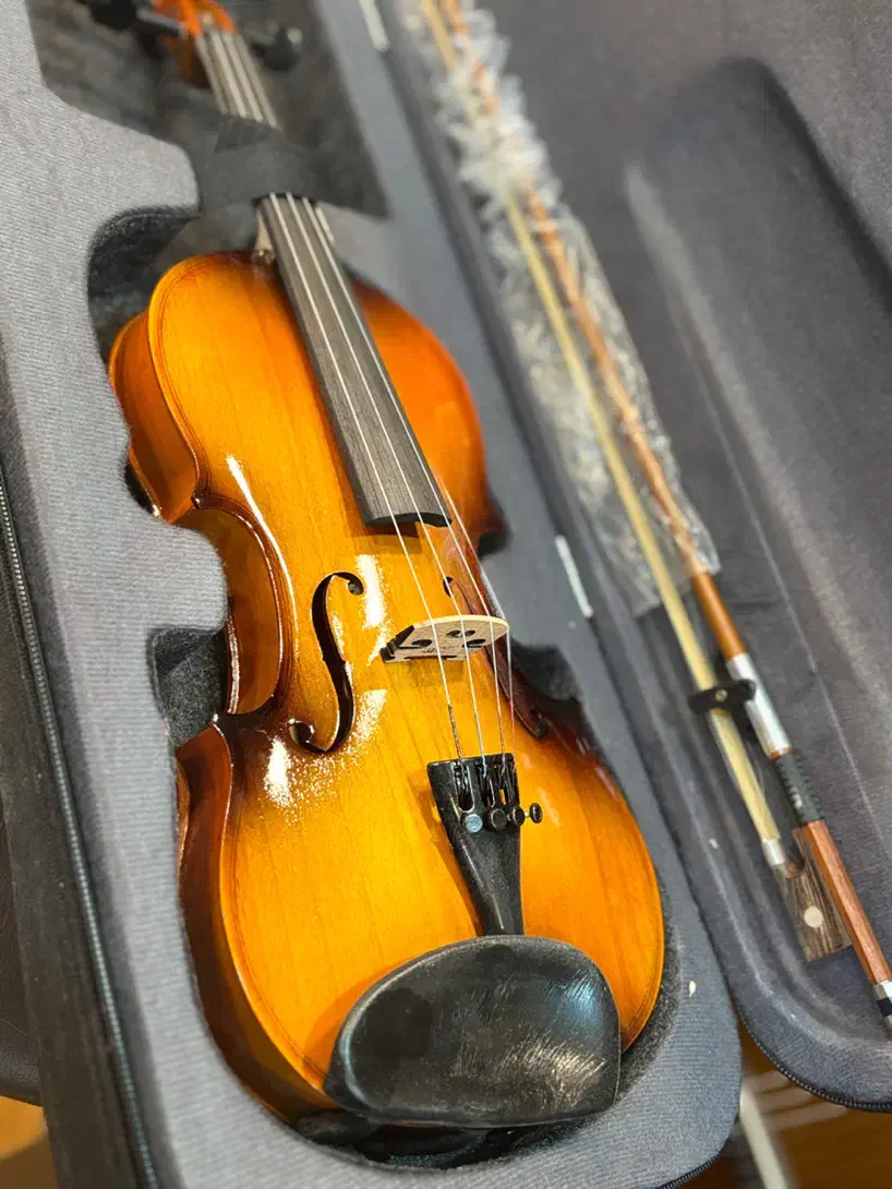 ویالون universal|ویولن|تهران, فردوسی|دیوار