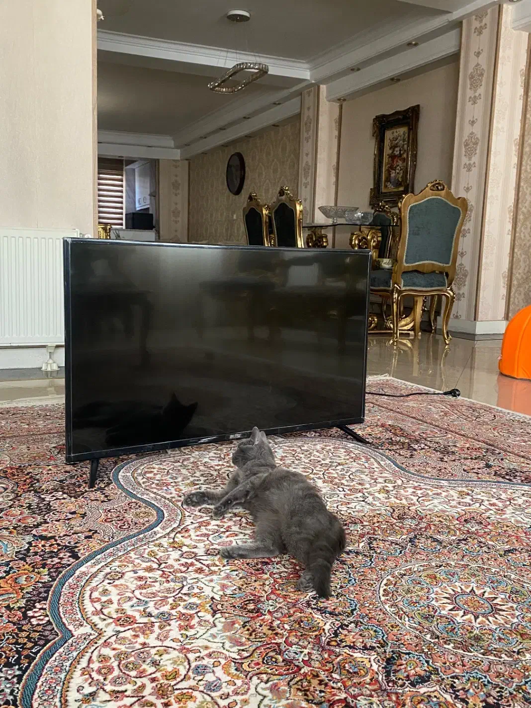 تلوزیون ۴۳اینچ blest|تلویزیون و پروژکتور|کرج, برغان|دیوار