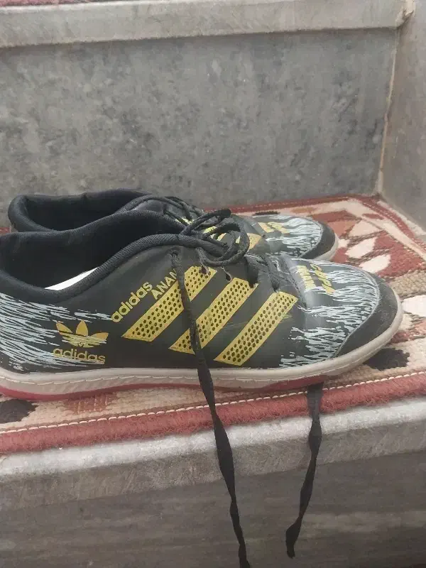 کفش|کیف، کفش، کمربند|همدان, |دیوار