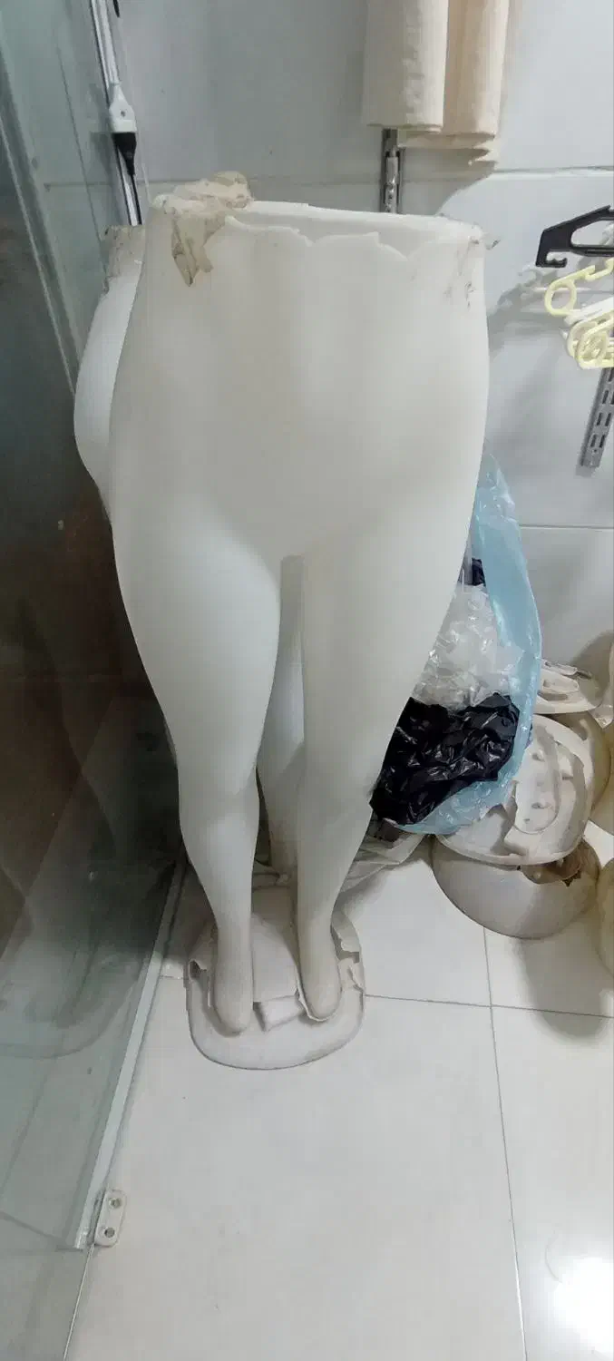 مانکن|فروشگاه و مغازه|تربتحیدریه, شهرک ولیعصر|دیوار