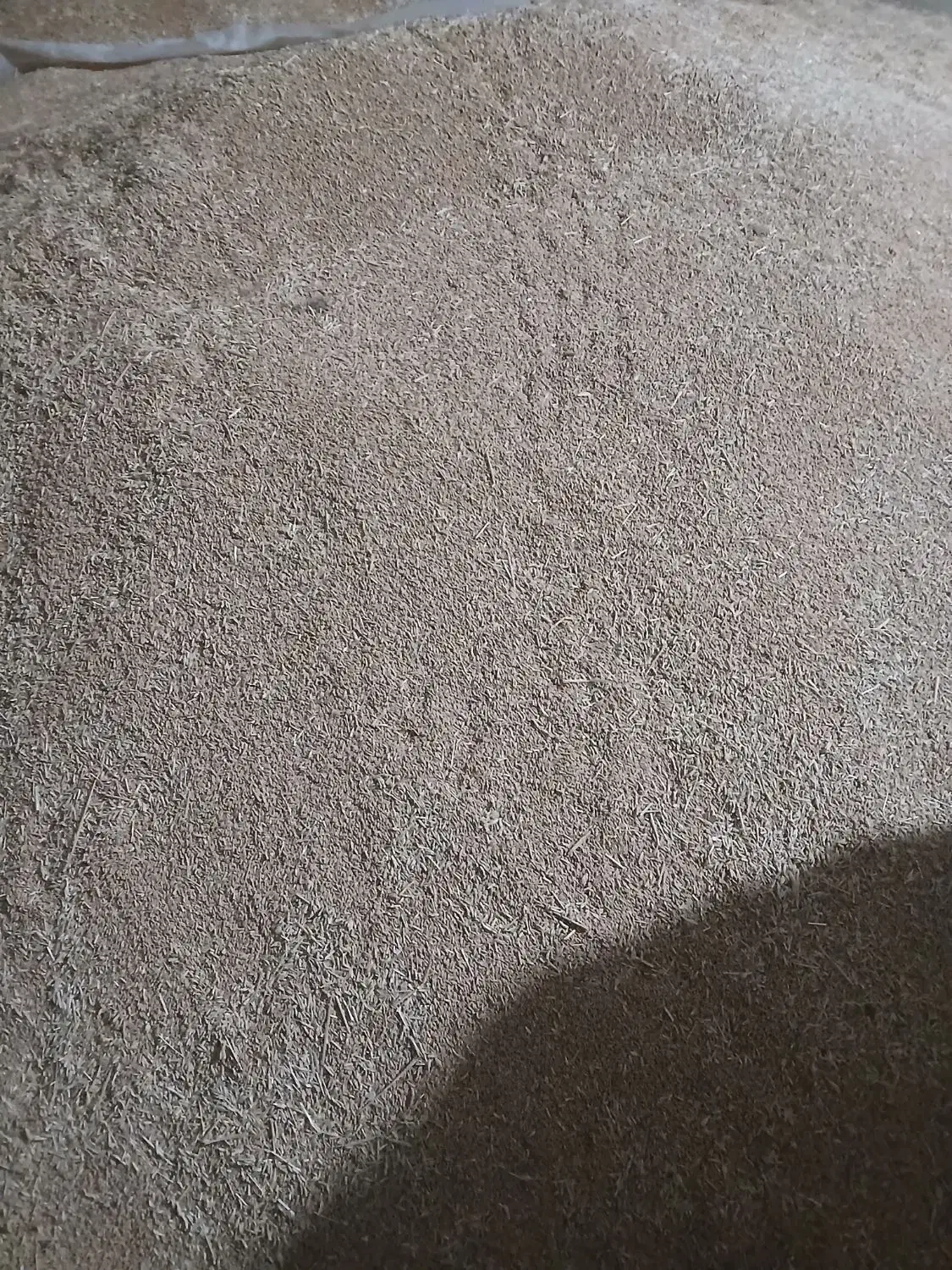 فروش گندم دیم|خدمات باغبانی و درختکاری|خاوه, |دیوار