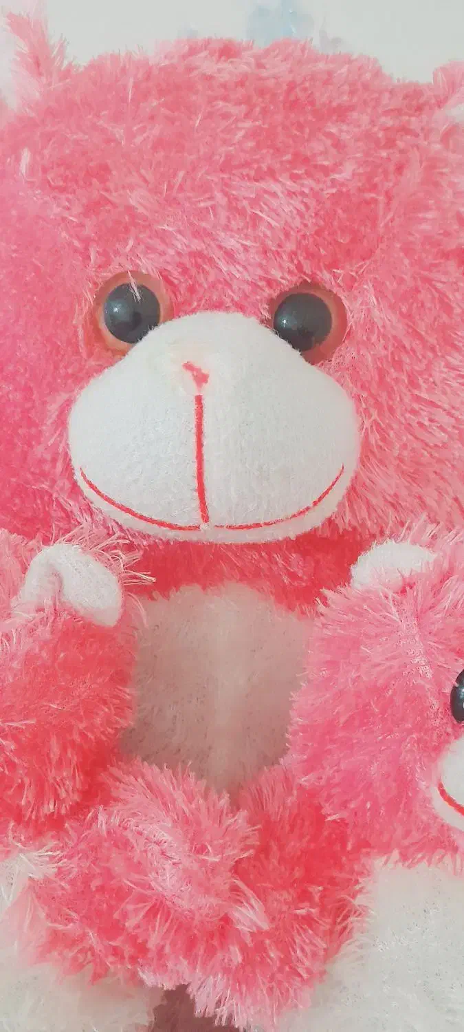 خرس بزرگ|اسباب‌بازی بچه|مهاباد (آذربایجان غربی), |دیوار