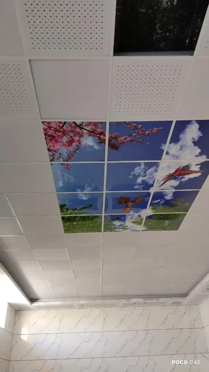 سقف کاذب|خدمات پیشه و مهارت|بیرجند, |دیوار