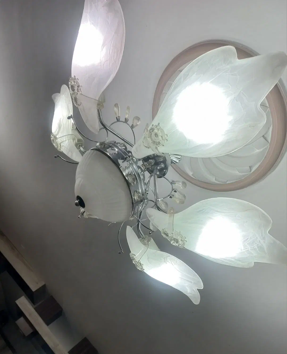 لوستر|لوستر و چراغ آویز|مشهد, شهرک امام هادی (شهرک غرب)|دیوار