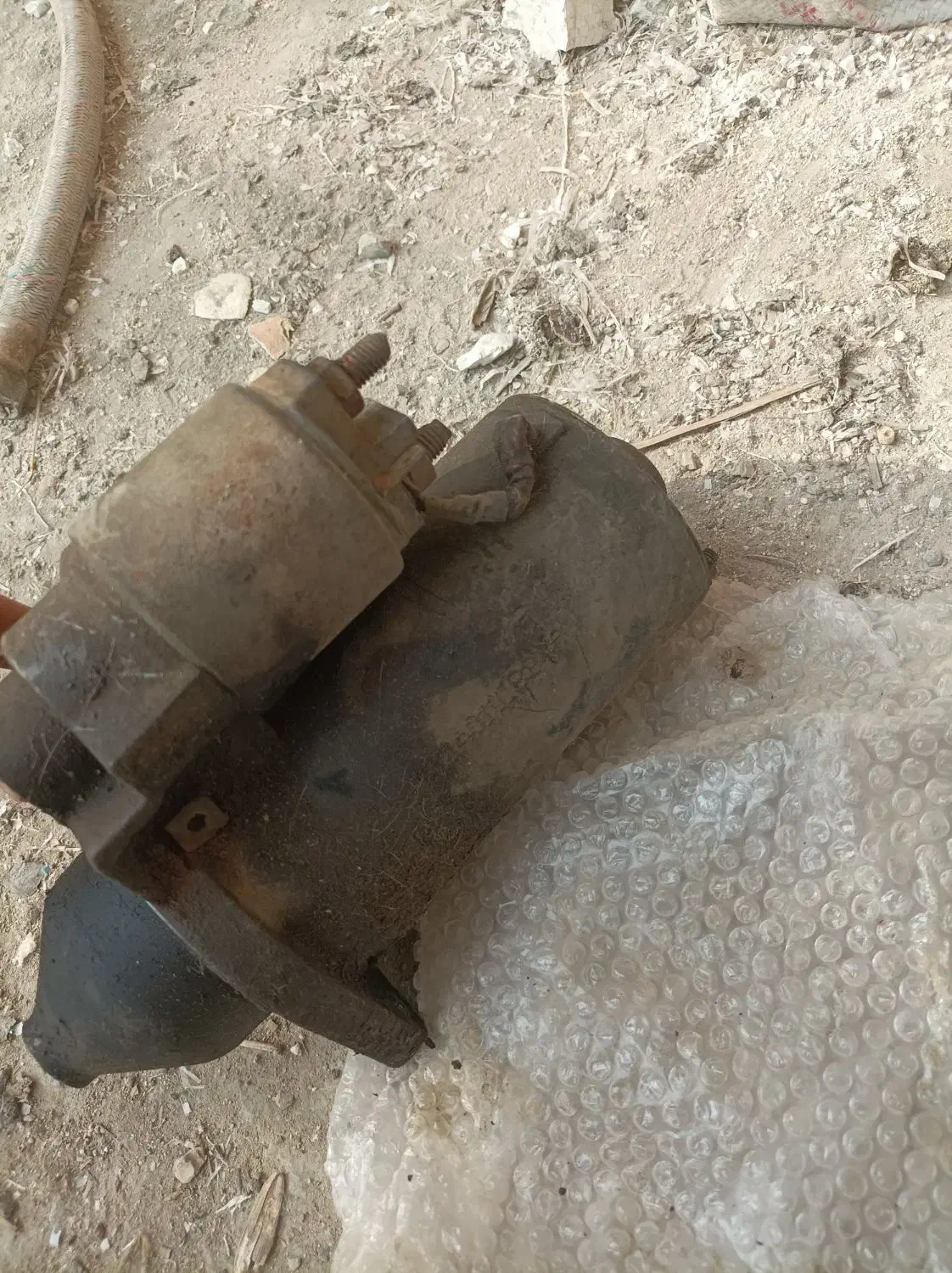 پرنده|پرنده|سوسنگرد, |دیوار