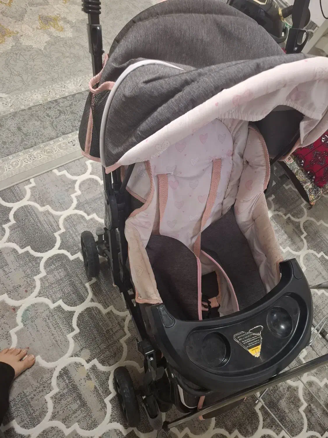 کالاسکه دلیجان|کالسکه و لوازم جانبی|شهرکرد, |دیوار