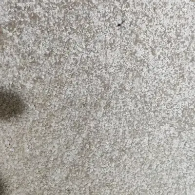 موکت و گلیم|موکت|زابل, |دیوار