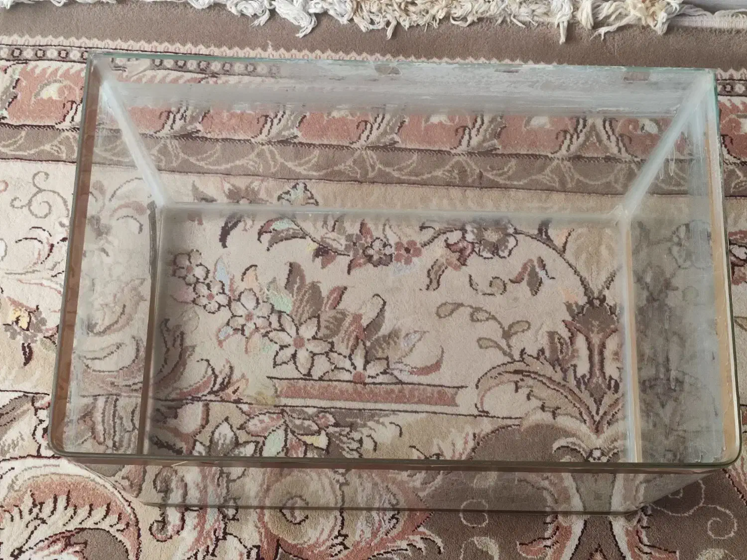 اکواریوم شیشه ایی ماهی|ماهی|کاشان, کارگر|دیوار