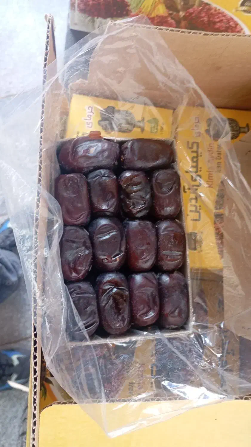 خرما|حراج|بم, |دیوار