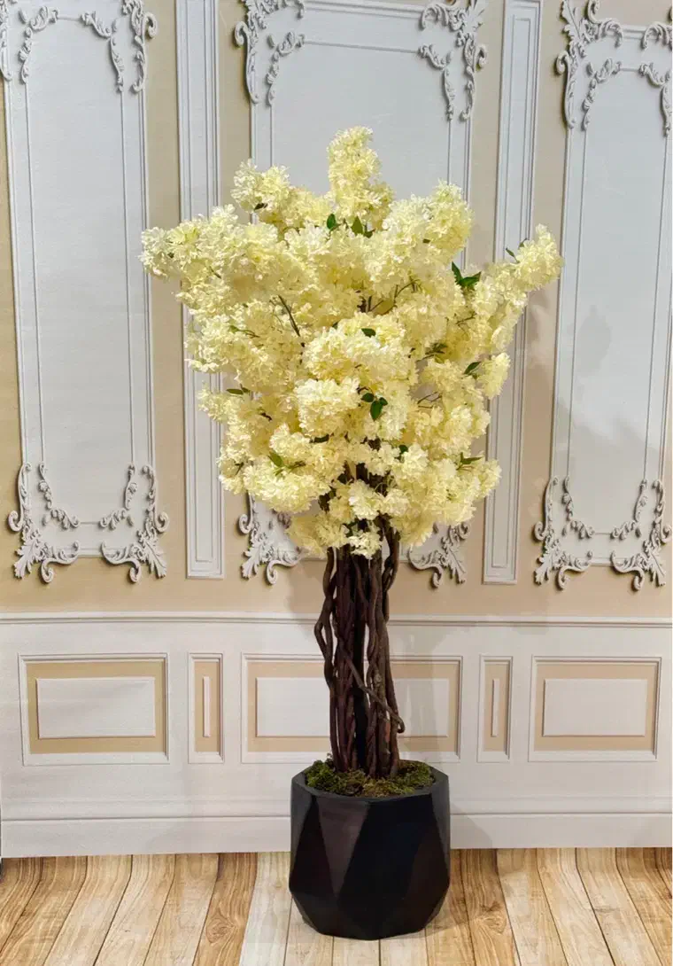 درختچه شکوفه سیب|گل مصنوعی|رشت, لاکانی|دیوار