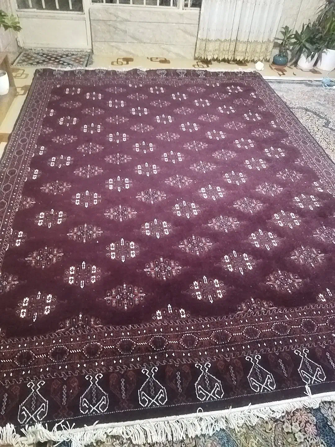 قالی ۹متری|فرش|خمینیشهر, |دیوار