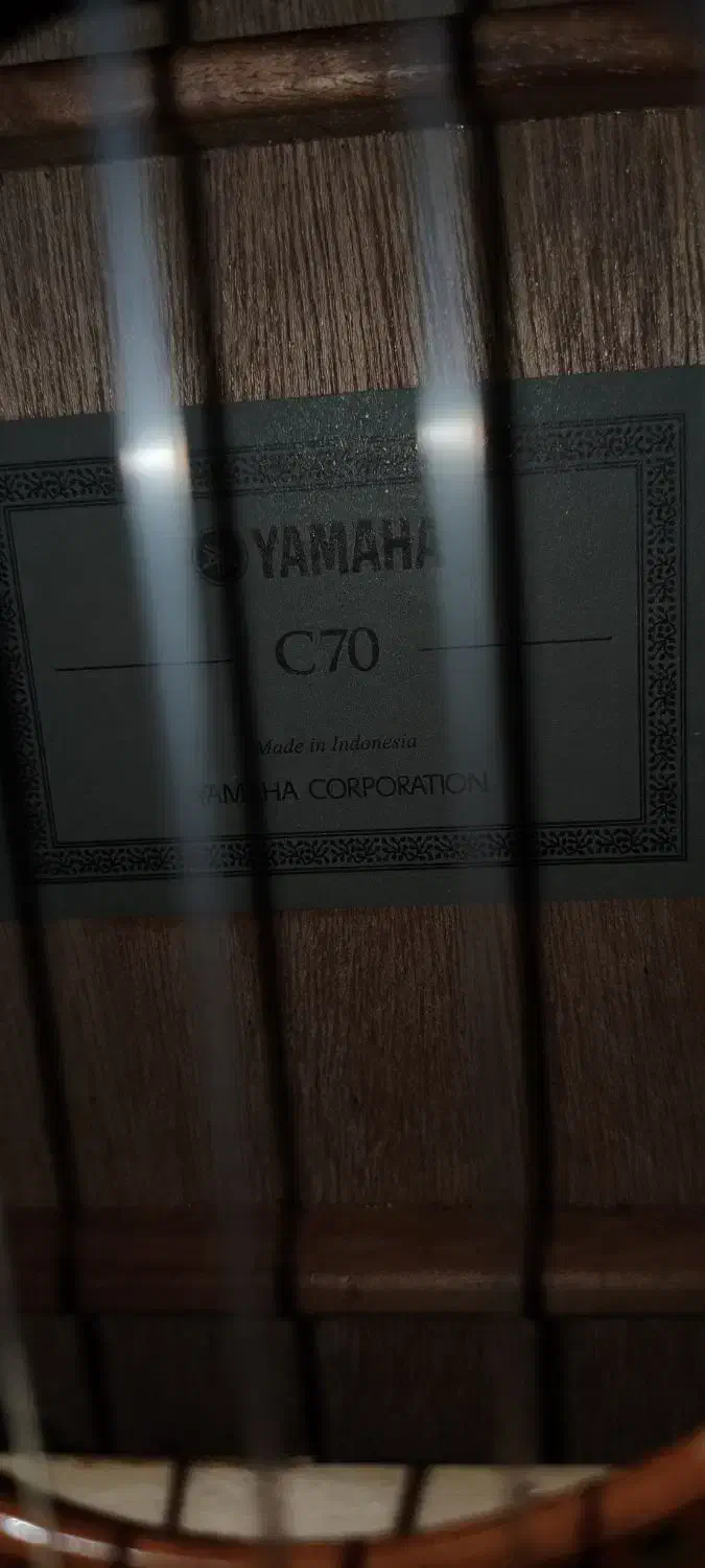 گیتار|گیتار، بیس، امپلیفایر|شهریار, شهریار|دیوار