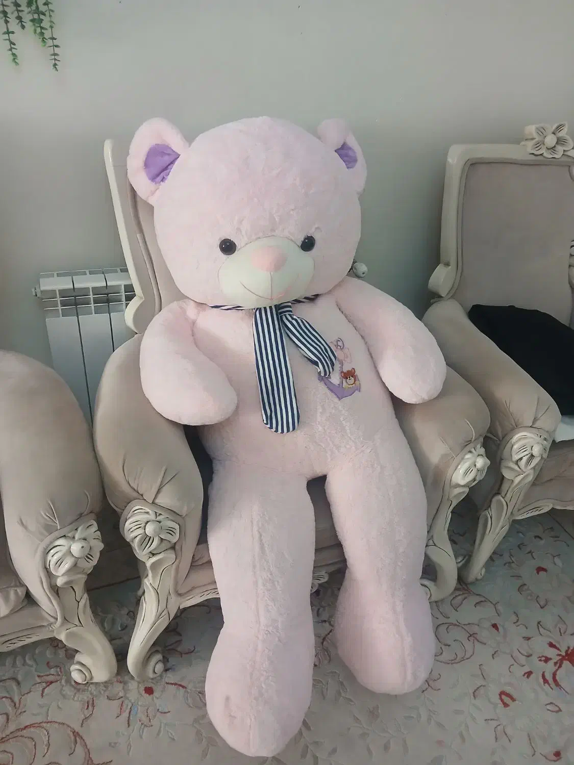خرس بزرگ صورتی|اسباب‌بازی بچه|شهریار, شهریار|دیوار