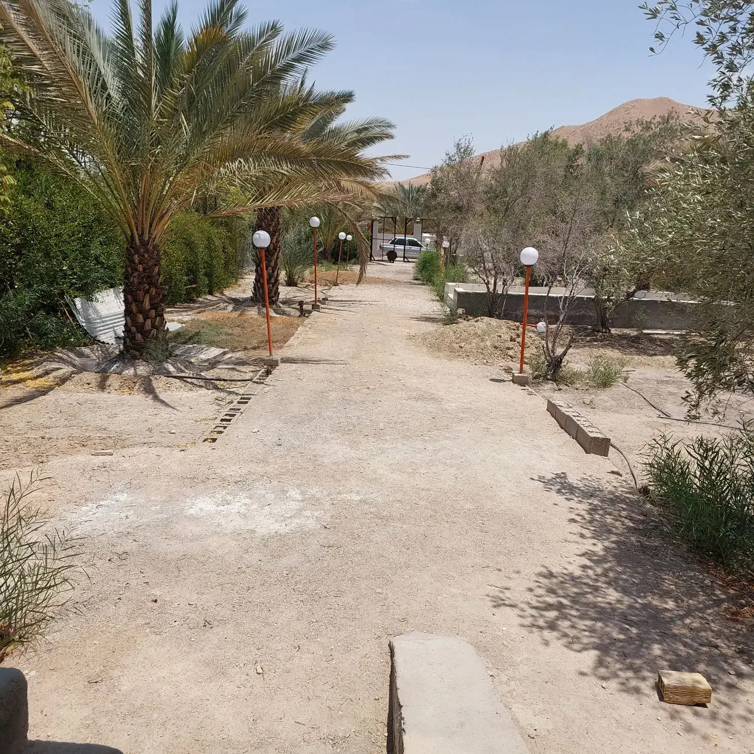 فروش باغ ۱۰۰۰ متری مجتمع زیتون|فروش خانه و ویلا|لار, |دیوار