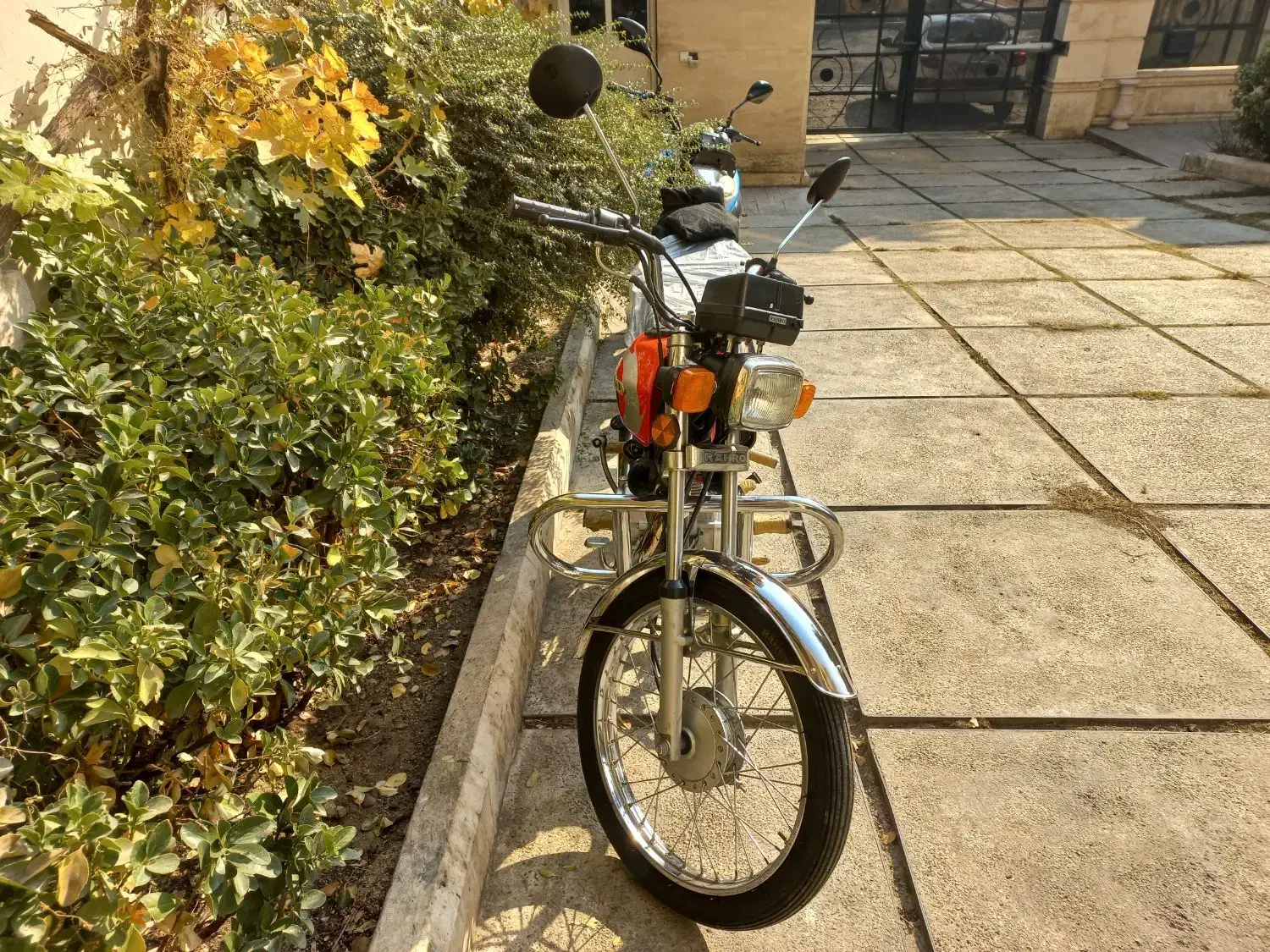 هوندا رهرو ۱۲۵ مدل ۱۴۰۳|موتورسیکلت|تهران, هاشمی|دیوار