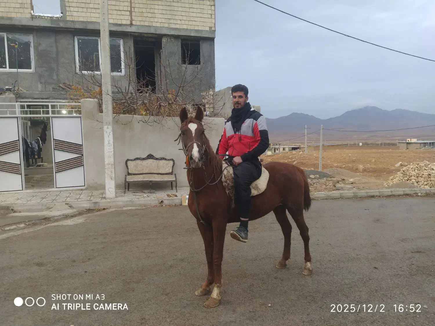 کره مادیان|اسب و تجهیزات اسب‌سواری|بن, |دیوار