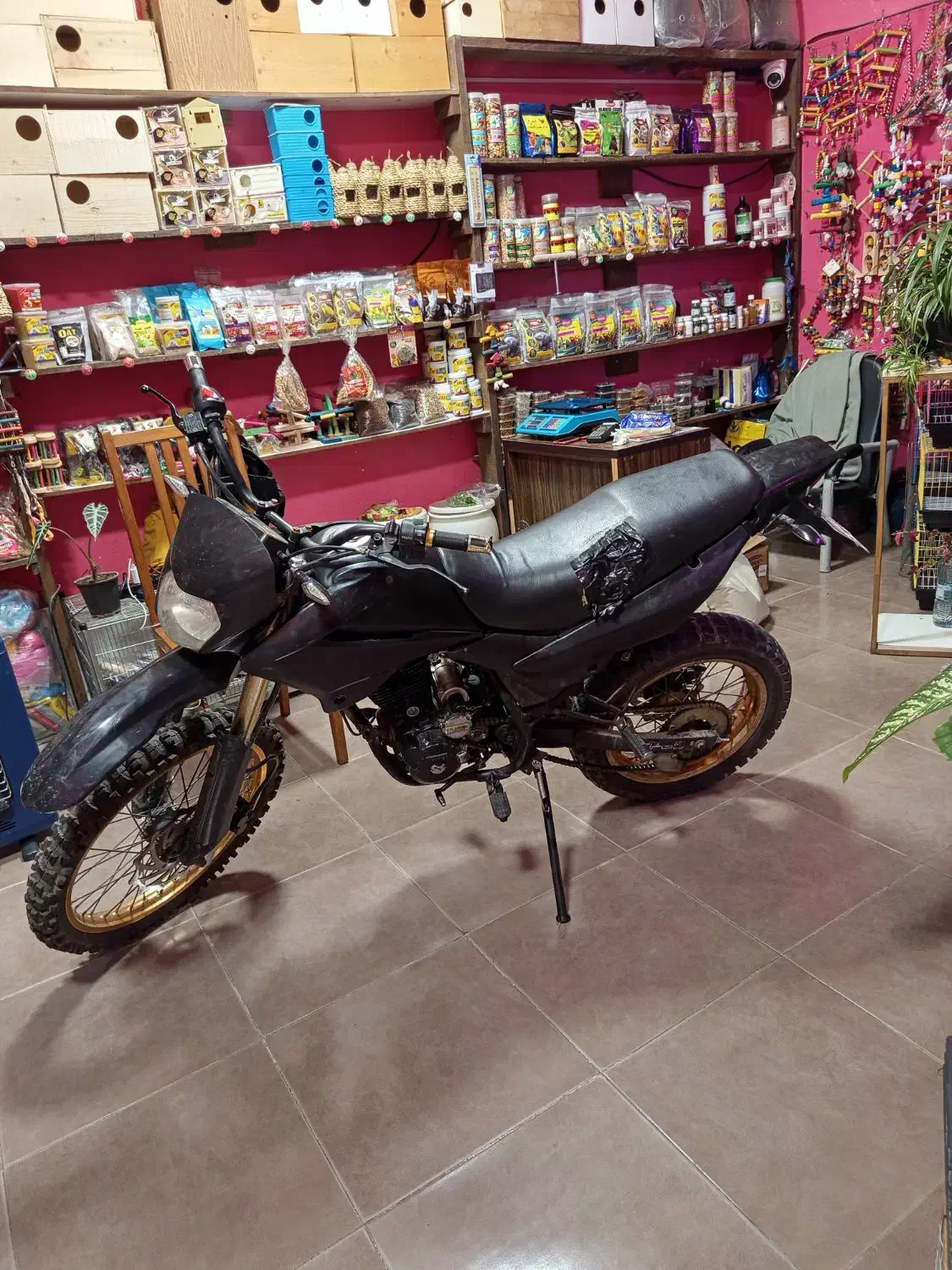 تریل رادیسون ۲۵۰|موتورسیکلت|محمودآباد, |دیوار