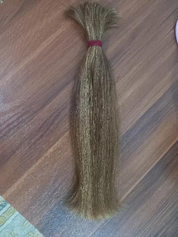 مو لایت شده|آرایشی، بهداشتی، درمانی|مرودشت, پشت سایپا|دیوار