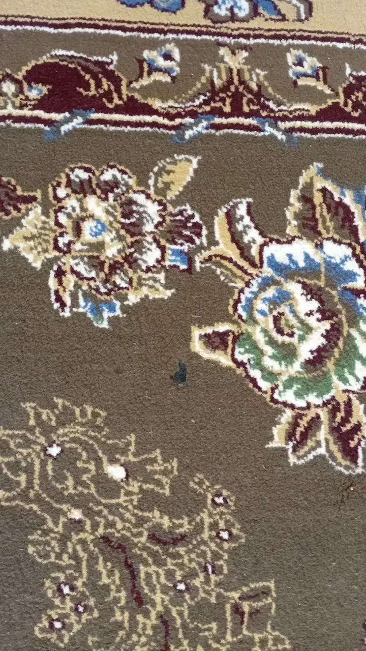 فرش|فرش|خرم‌آباد, |دیوار