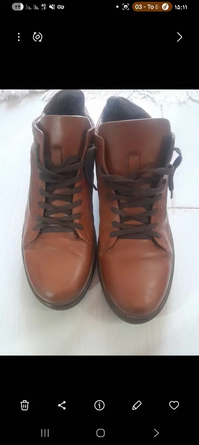 کفش نو|کیف، کفش، کمربند|زاهدان, |دیوار