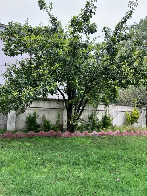 فروش ویلایی کیاشهر|فروش خانه و ویلا|رشت, حومه رشت|دیوار