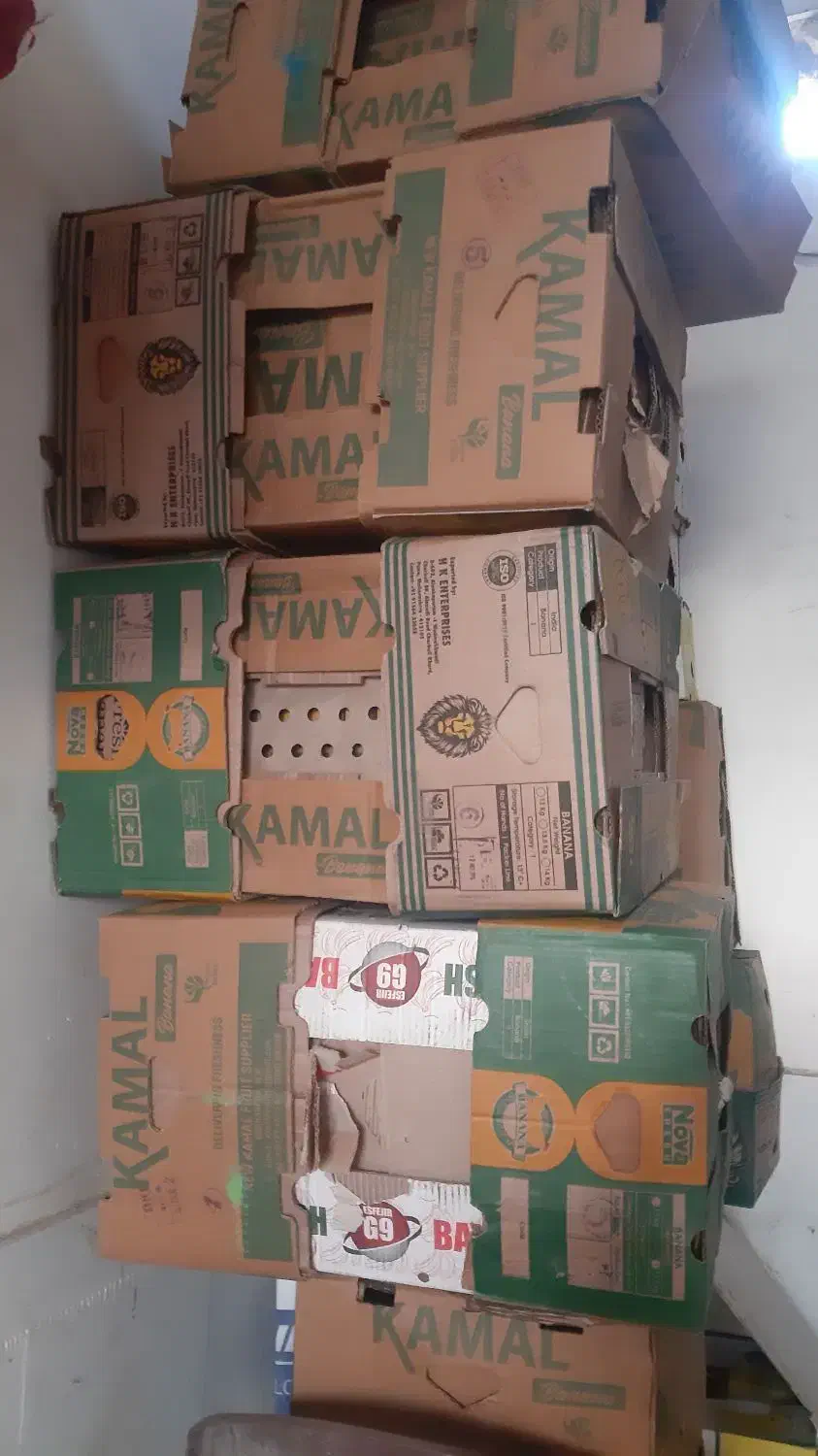 کارتون جا موز|عمدهفروشی|نورآباد, |دیوار