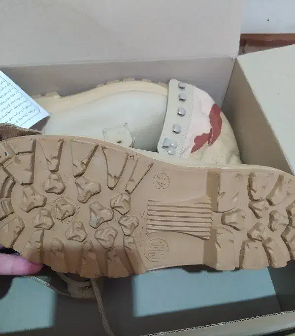 پوتین .کفش|کیف، کفش، کمربند|سراوان, |دیوار