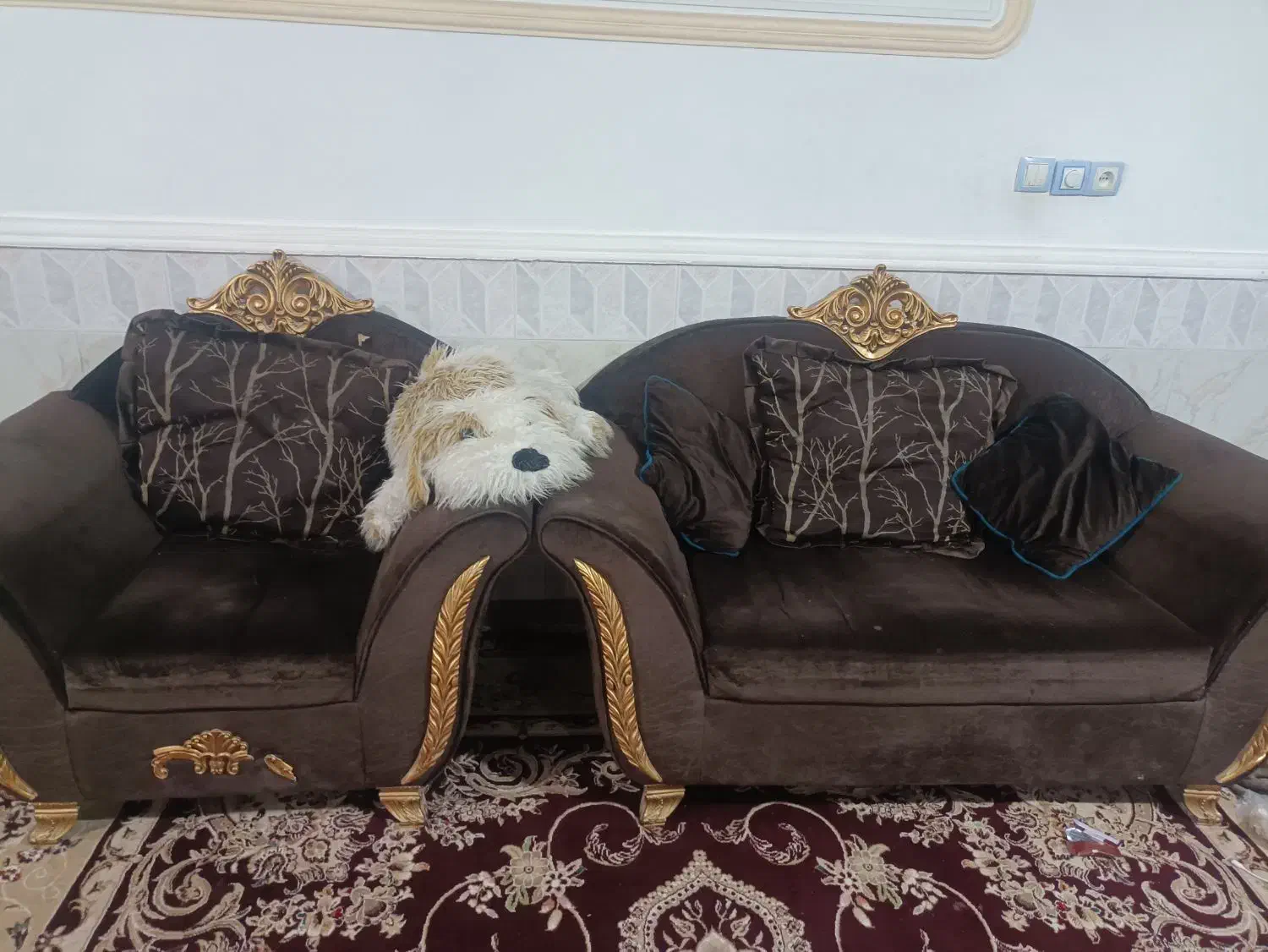 مبل|مبلمان خانگی و میز عسلی|زابل, |دیوار