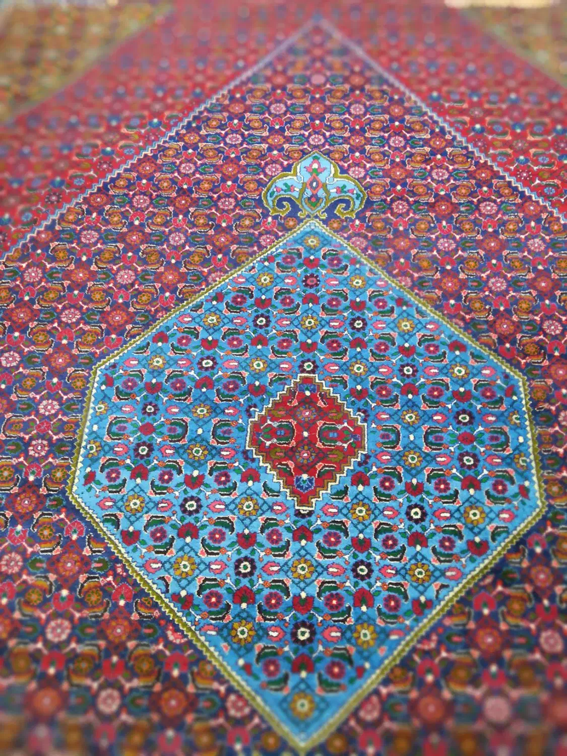 فرش|فرش|زنجان, |دیوار