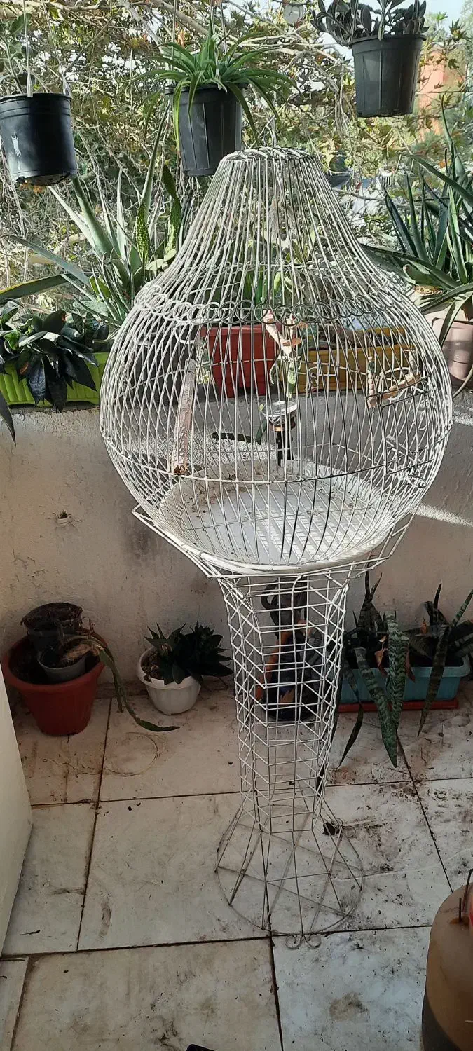 قفس پرنده|لوازم جانبی حیوانات|تهران, افسریه شمالی|دیوار