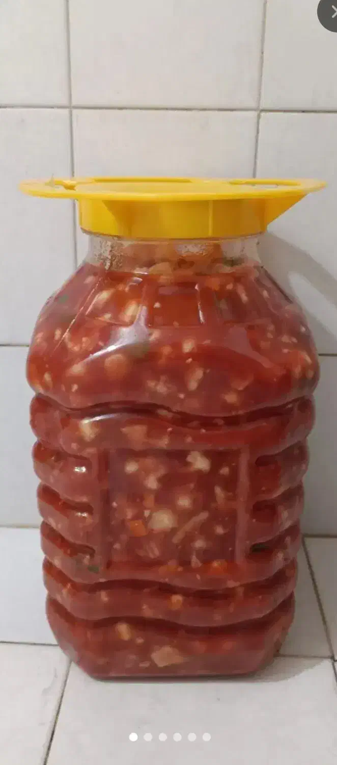 انواع ترشی|خوردنی و آشامیدنی|مشهد, خواجه ربیع|دیوار