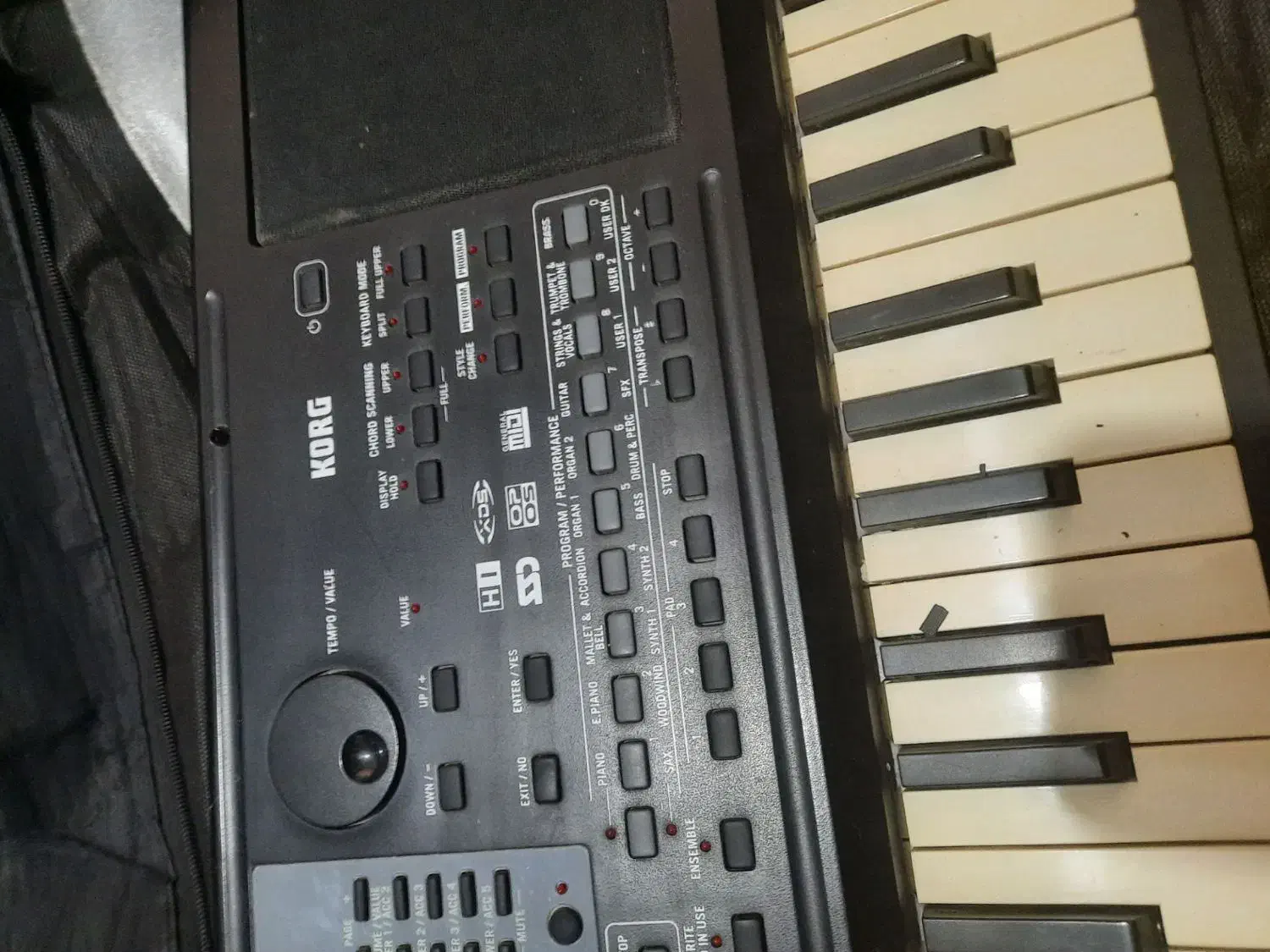 ارگ|پیانو، کیبورد، آکاردئون|قم, شاه ابراهیم|دیوار