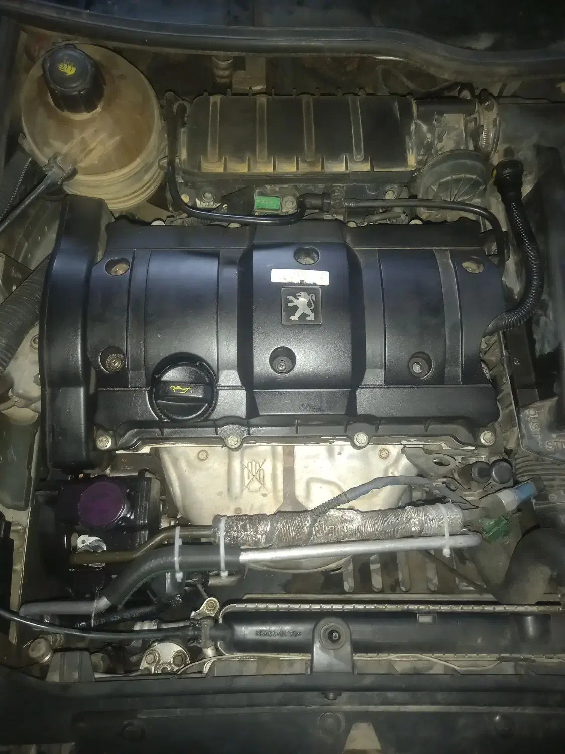 پژو ۲۰۶ تیپ ۵|خودرو سواری و وانت|اصفهان, برازنده|دیوار