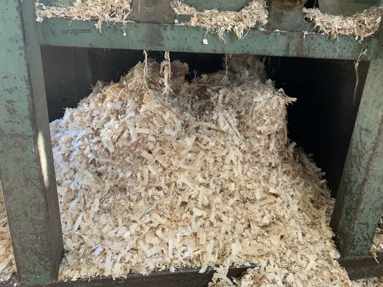 فروش پوشال مرغی|حیوانات مزرعه|کامیاران, |دیوار