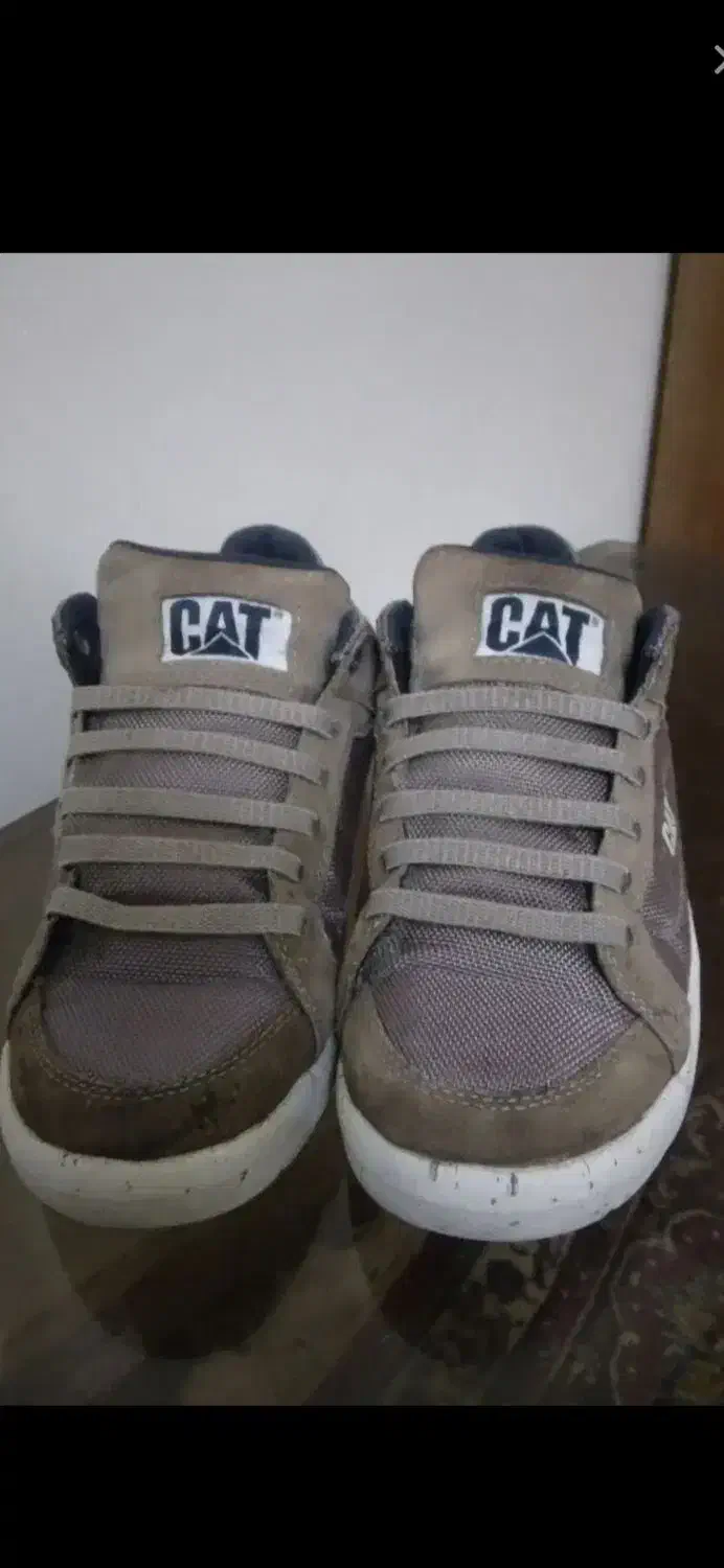 کفش کاترپیلار اورجینال cat|کیف، کفش، کمربند|یاسوج, |دیوار