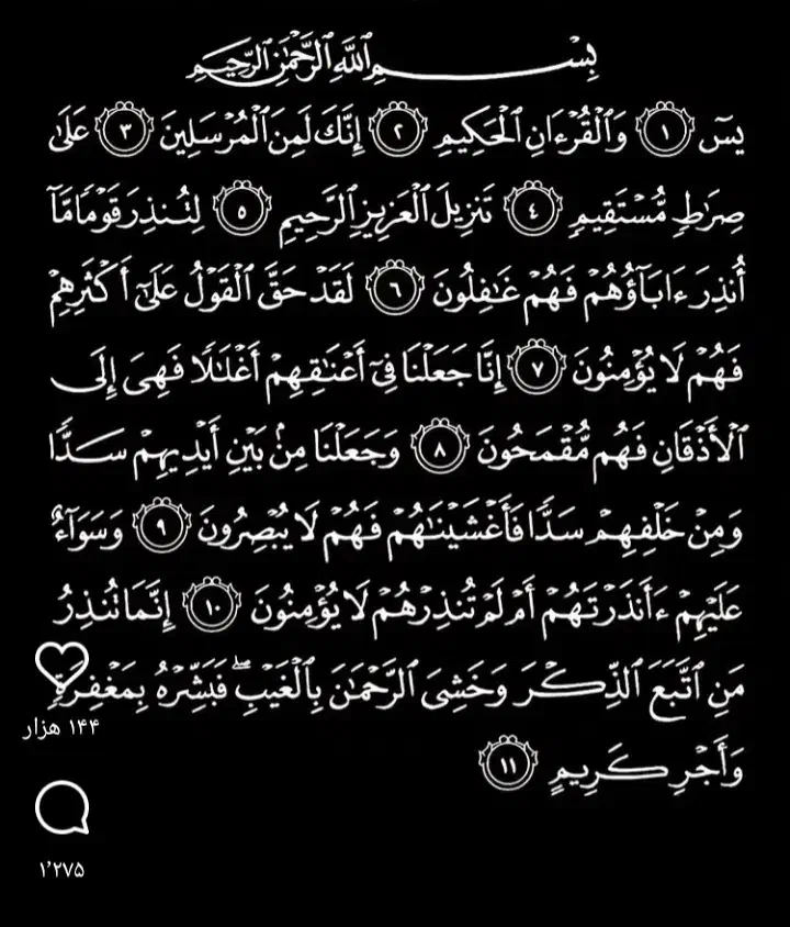 فرش|فرش|آشخانه, |دیوار