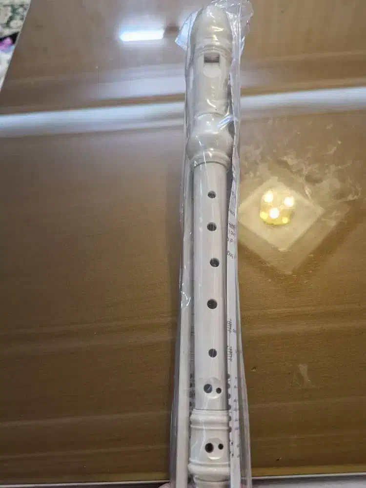 فلوت|سازهای بادی|خرم‌آباد, |دیوار