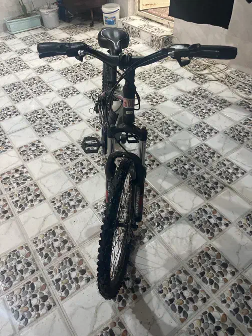 دوچرخه 24|دوچرخه، اسکیت، اسکوتر|بندر ماهشهر, |دیوار