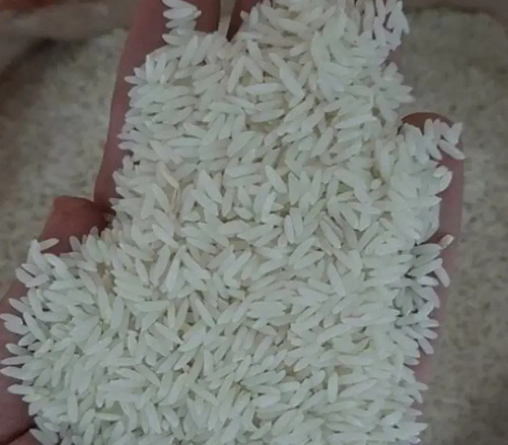 برنج هاشمی درجه یک|خوردنی و آشامیدنی|الوند, |دیوار