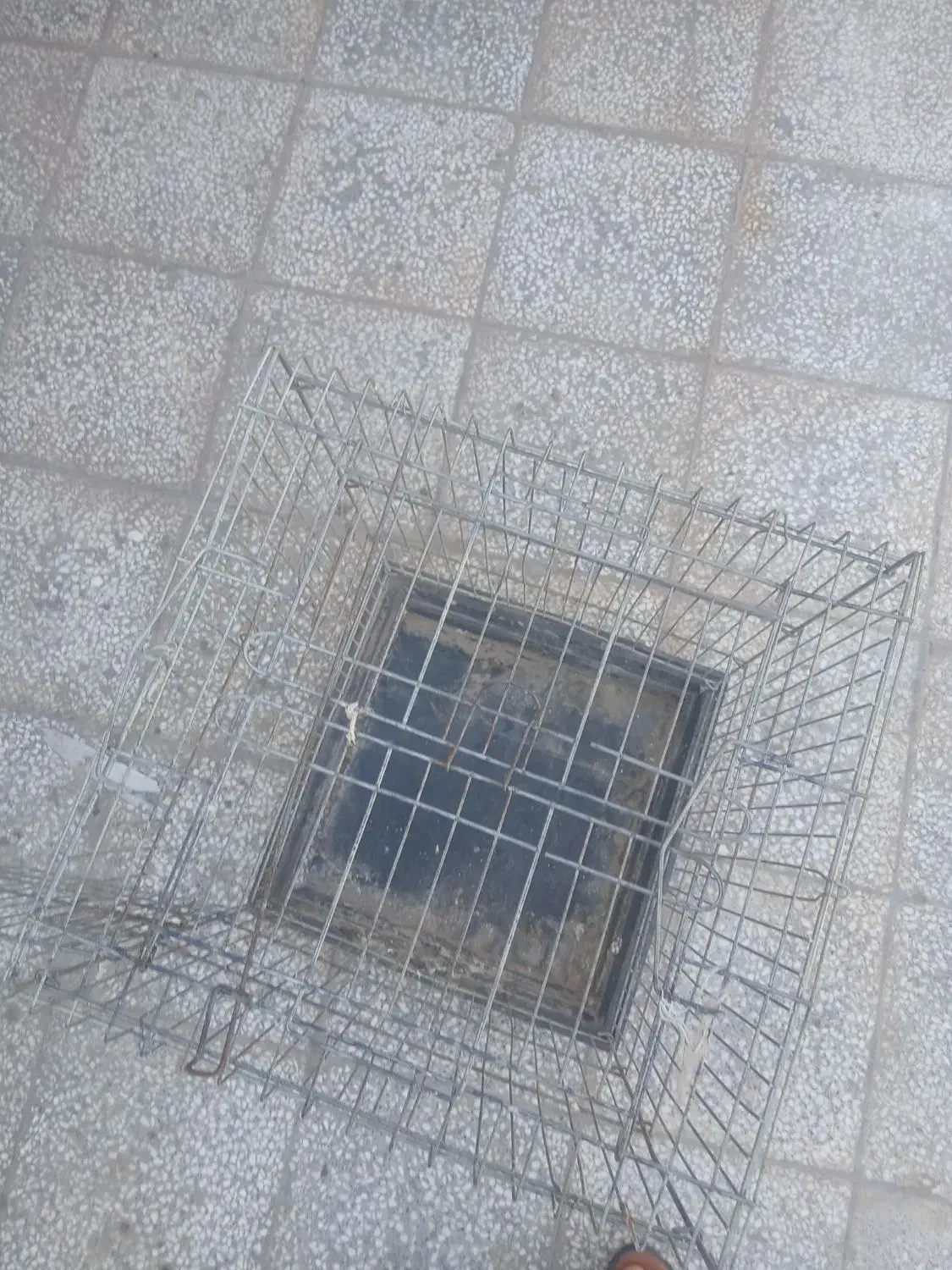 قفس|لوازم جانبی حیوانات|قم, قلعه کامکار|دیوار