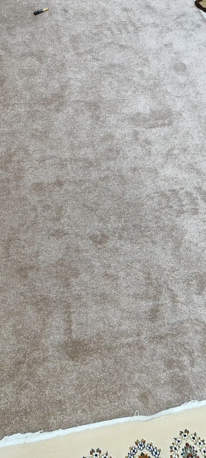 موکت پالاز با کیفیت|موکت|کرمانشاه, |دیوار