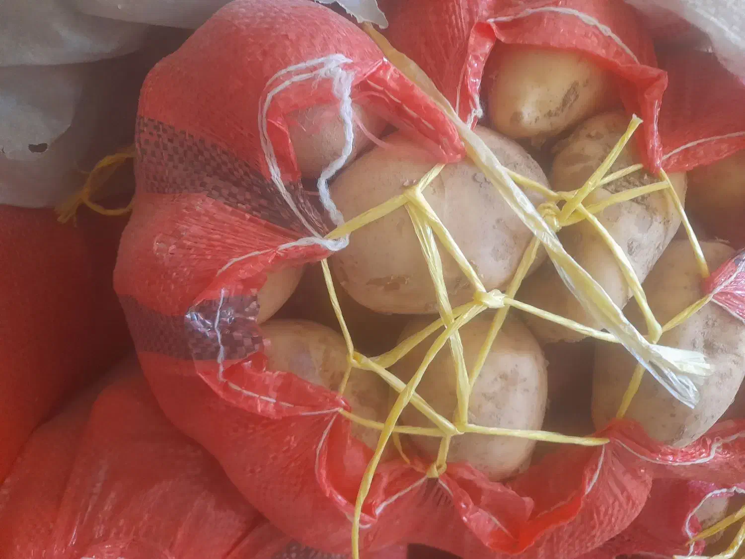 سیب زمینی ۳۵۰ کیلو|خوردنی و آشامیدنی|دهگلان, |دیوار